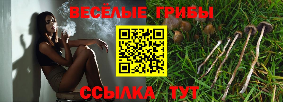 Пушкино  Галлюциногенные грибы мухоморы  Псилоцибиновые грибы ЛСД  Вход с VPN 